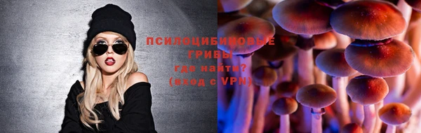 ешки Алзамай