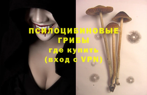 ешки Алзамай