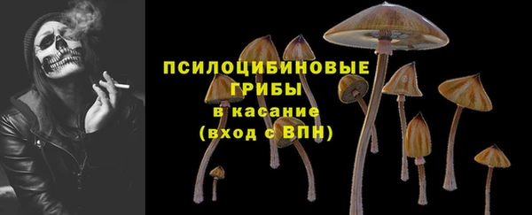 ешки Алзамай