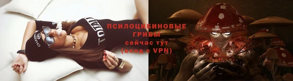 a pvp Алексеевка