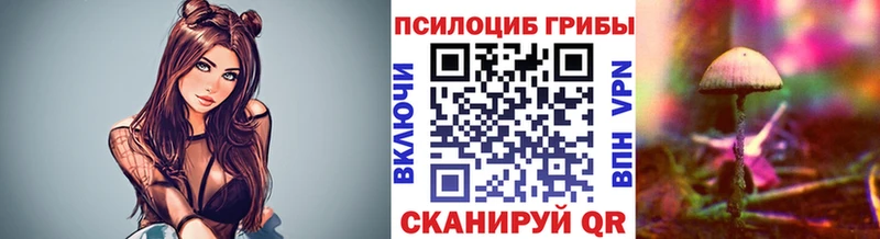 Галлюциногенные грибы Cubensis  где можно купить   Углич 