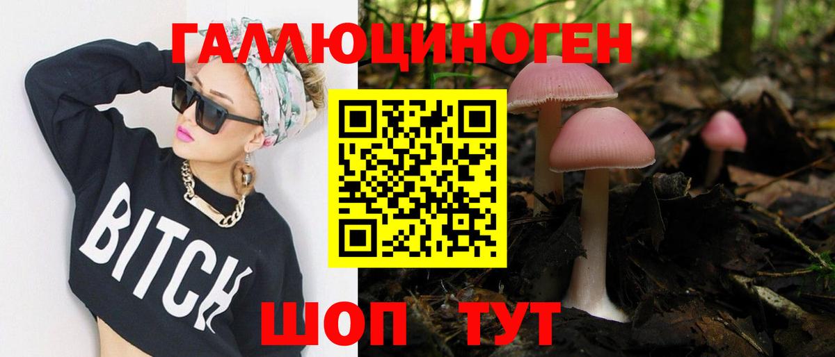 Углич  Галлюциногенные грибы Cubensis  Вход с VPN 