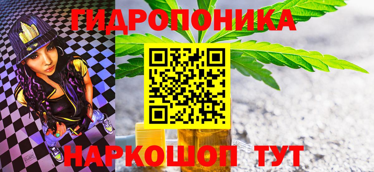Шишки марихуана конопля Углич